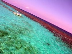 Great sky over the corral gardens reef in Grand Cayman by Andrew Kubica 
